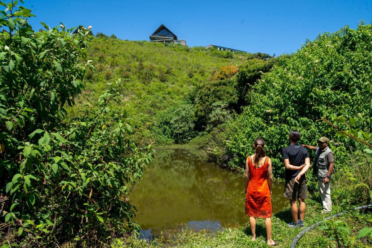 The Plains Green Ambawela Luaran gambar